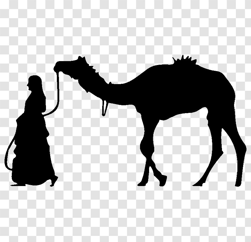 Camel Saatchi Art Painting Illustration - Film - Afrique Silhouette Transparent PNG