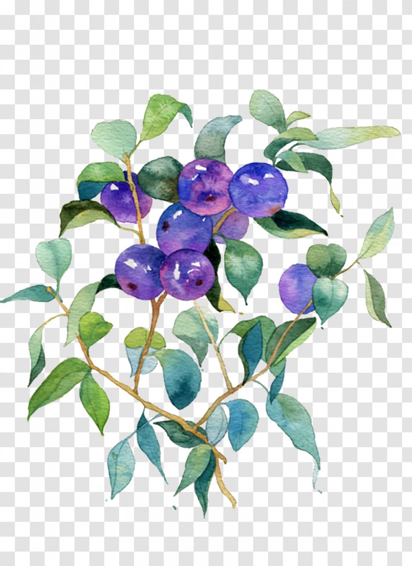 Blueberry Fruit - Purple - Wild Picture Material Transparent PNG