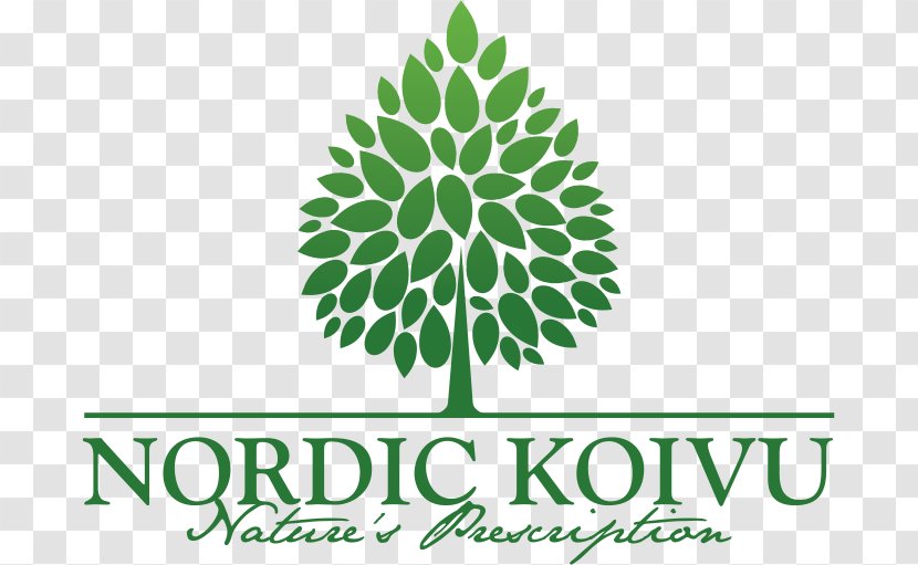 Birch Sap Food Juice Nordic Koivu Oy Transparent PNG