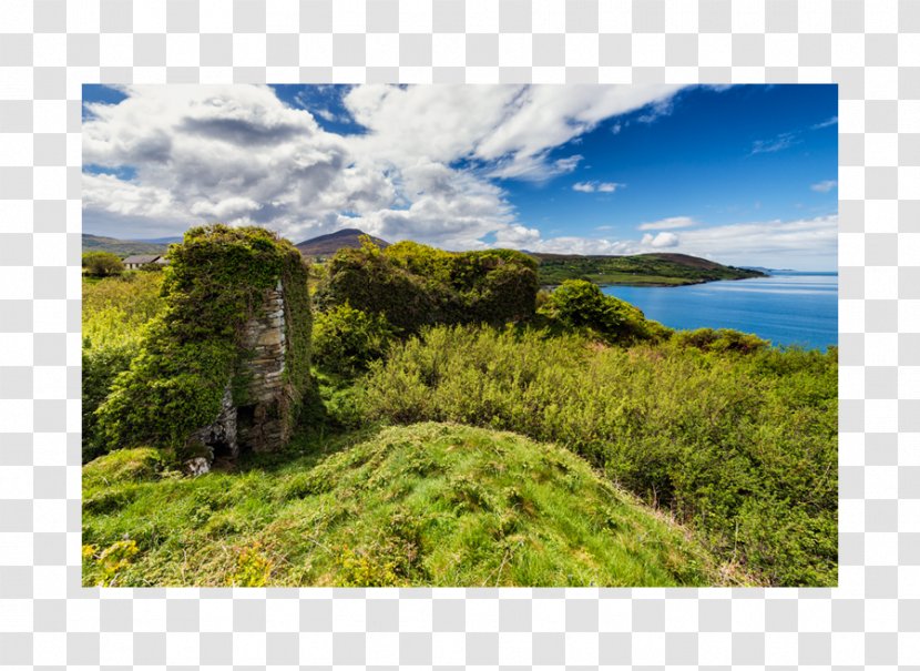 Tuosist Beara Peninsula Photography Vegetation - Castle - CASTLE Watercolor Transparent PNG