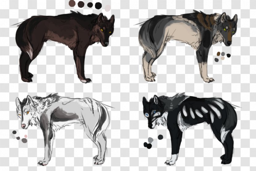 Dog And Cat - Black Norwegian Elkhound - Hyena Tail Transparent PNG