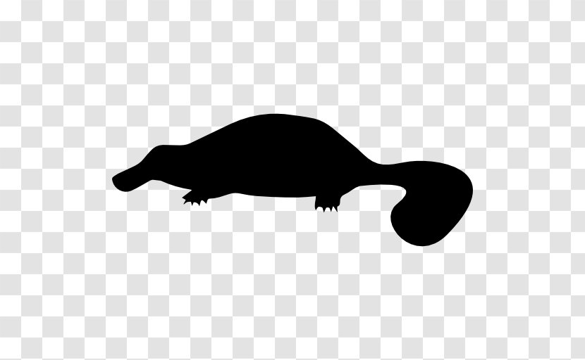 Platypus Mammal Monotreme - Shape Transparent PNG