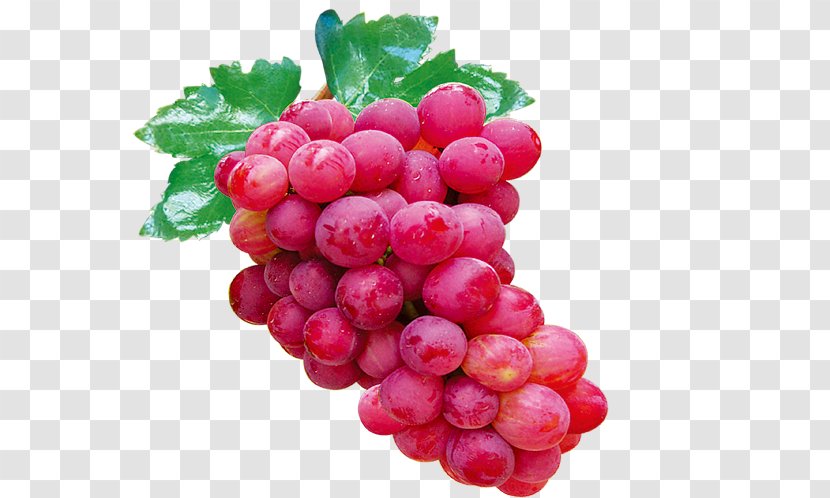 Grape Auglis Icon - Raster Graphics - Red Grapes Transparent PNG