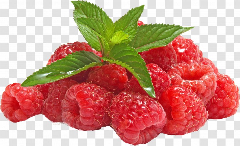 Raspberry Ketone Extract Flavor Fruit - Preserves Transparent PNG