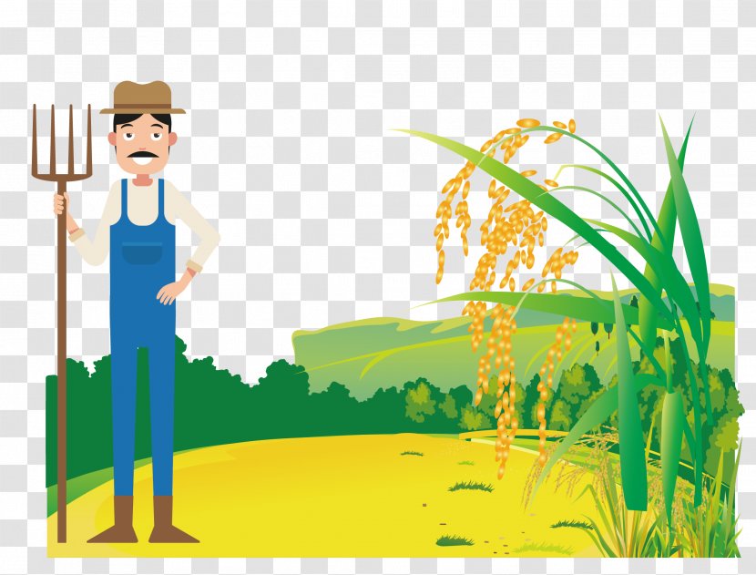 Vector Sowing Rice - Illustrator - Grass Transparent PNG