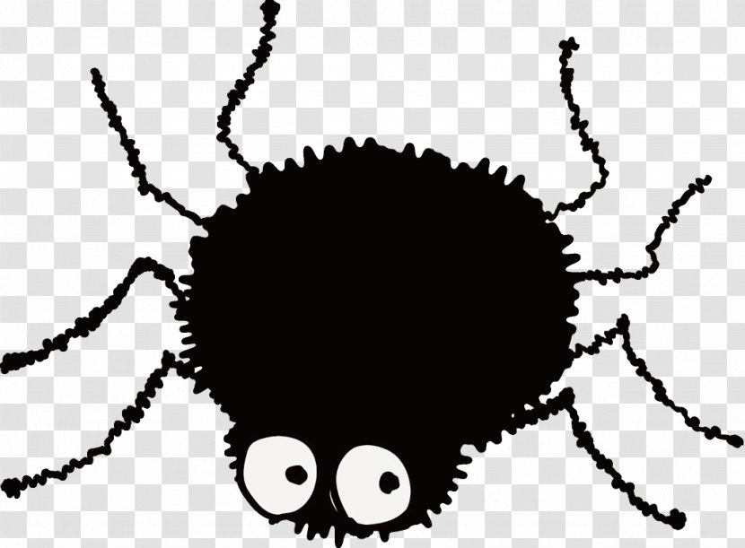 Spider Halloween - Insect Transparent PNG