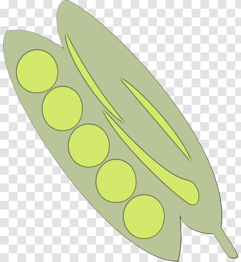Yellow Green Leaf Plant Transparent PNG