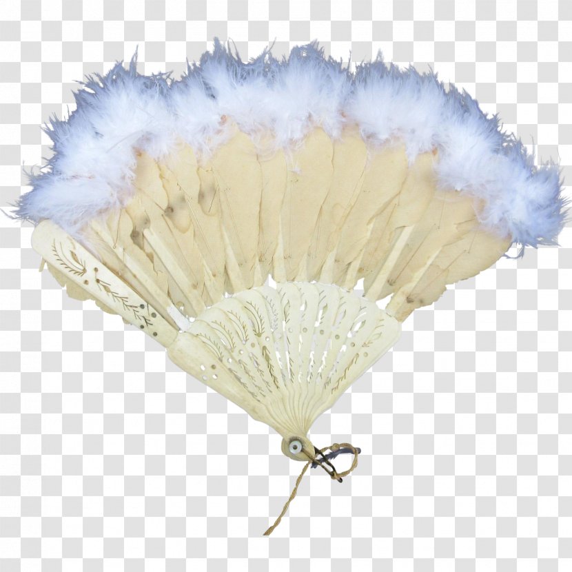 Fan - Decorative Transparent PNG