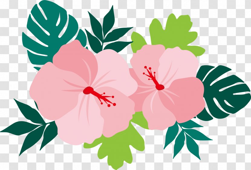 Flower Euclidean Vector Common Hibiscus - Mallow Family - Illustration Of Flowers Transparent PNG