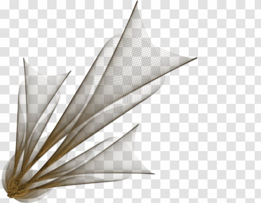 Line Leaf Angle - Plant Transparent PNG