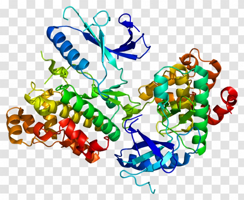 Monoamine Oxidase B Neurotransmitter Inhibitor Dopamine - Tree - Silhouette Transparent PNG