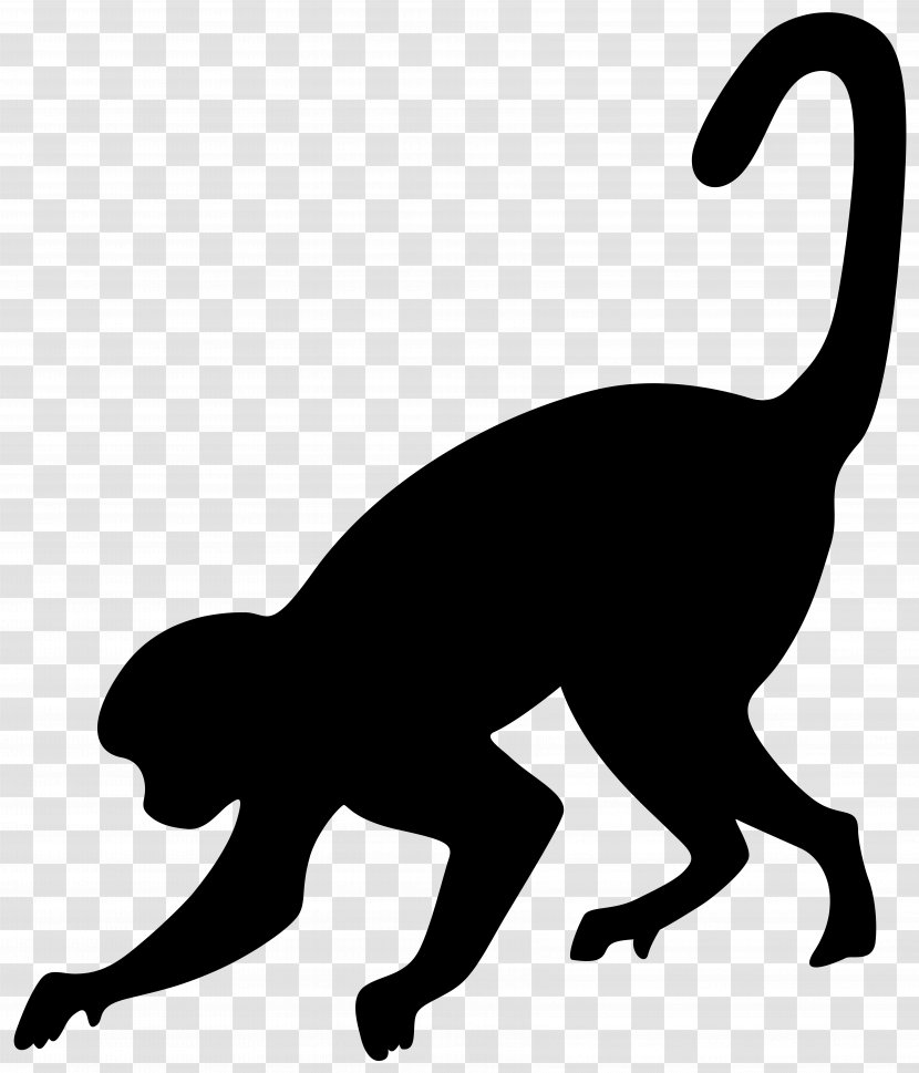 Monkey Business: Swinging Through The Wall Street Jungle Silhouette Clip Art - Small To Medium Sized Cats - Silhouete Transparent PNG