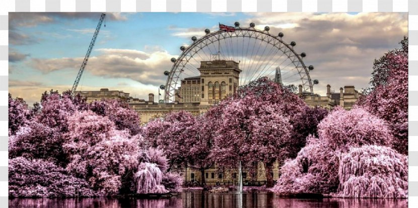 London Eye Hyde Park Big Ben Desktop Wallpaper Image Source Limited - Plant Transparent PNG