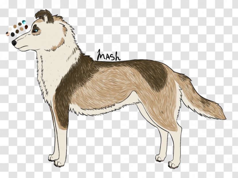 Dog Breed Seppala Siberian Sleddog Husky Sled - Shetland Sheepdog Transparent PNG