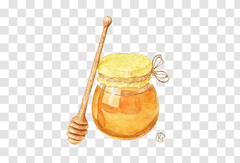 Honey Drawing Watercolor Painting Illustration Transparent PNG
