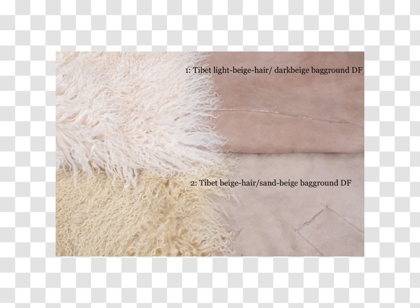 Beige - Flooring - Literary Lace Transparent PNG