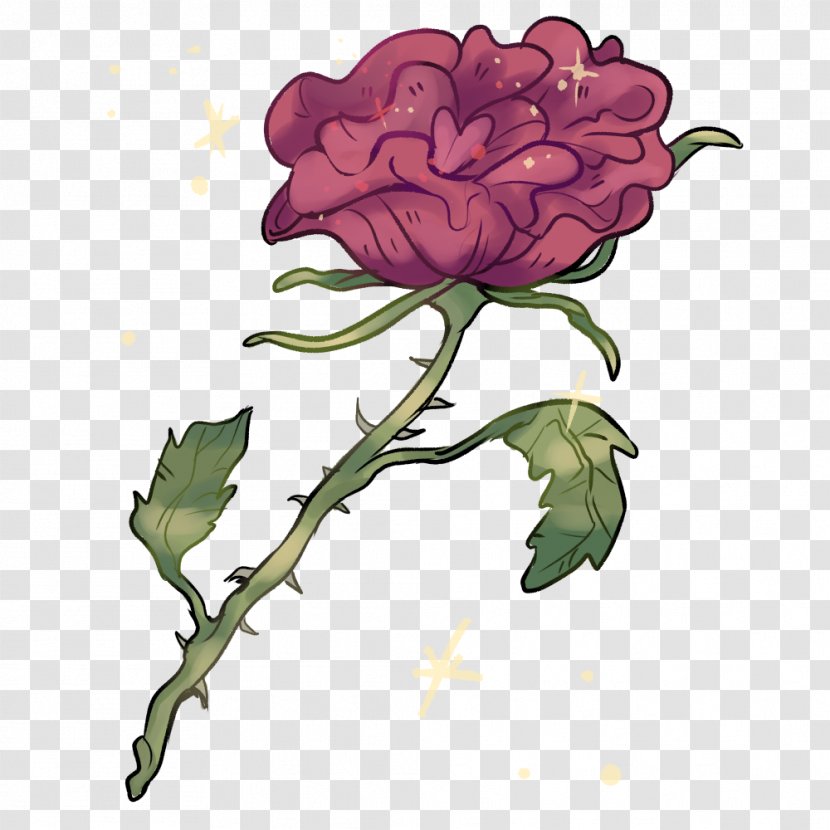 Garden Roses Cabbage Rose Cut Flowers 9 October - Tumbrl Transparent PNG