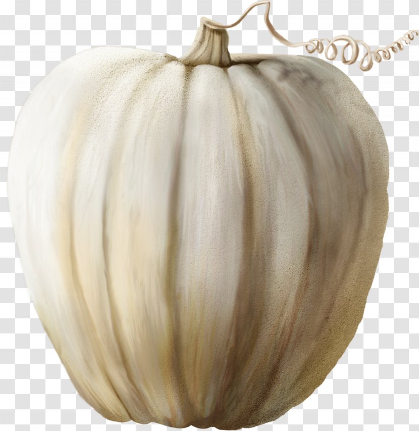 Pumpkin Winter Squash Cucurbita - Sticker - Seedlings Transparent PNG