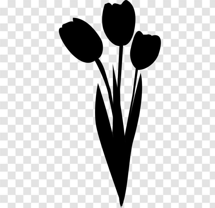 Clip Art Heart M-095 Flowering Plant Plants - Lily Family Transparent PNG