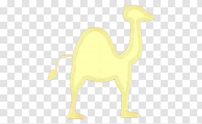 Animal Cartoon - Figure - Livestock Arabian Camel Transparent PNG