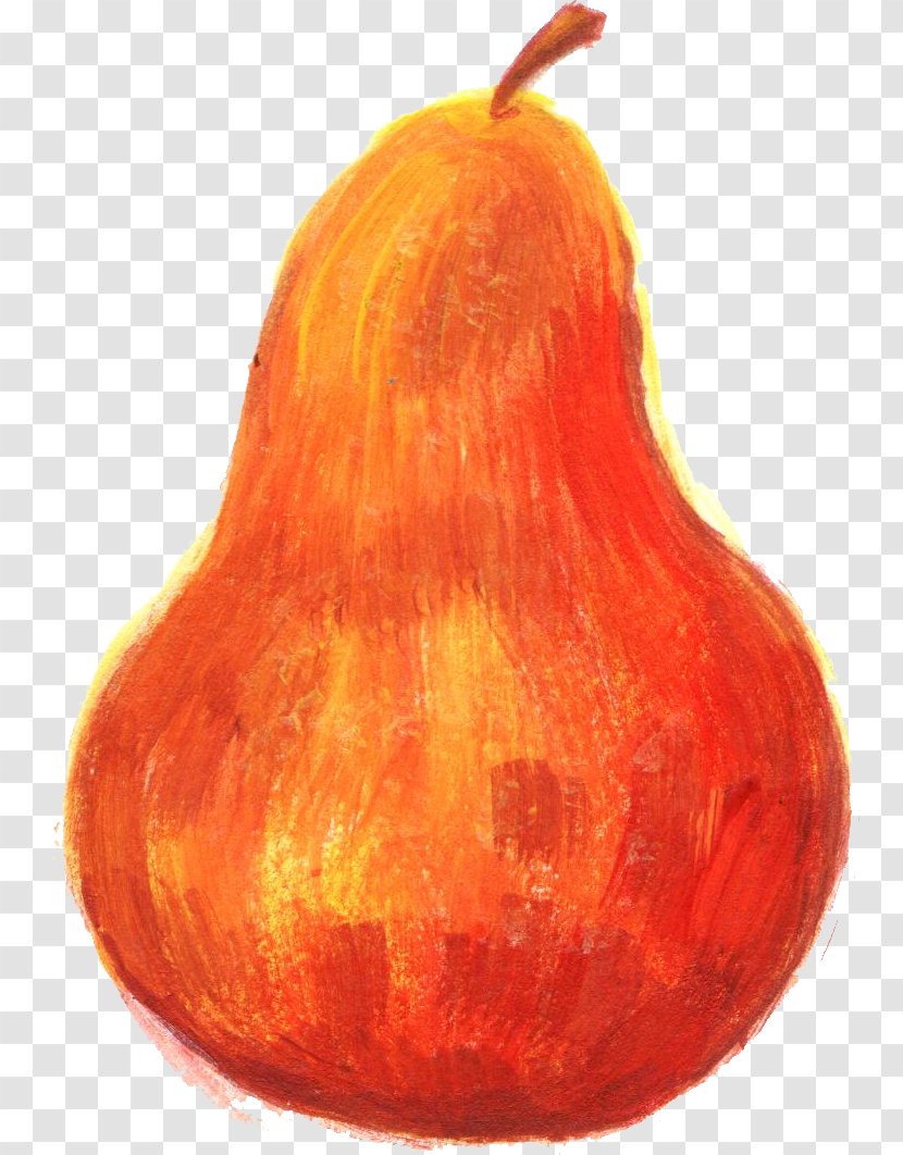 Calabaza Pear Cucurbita - Squash Transparent PNG