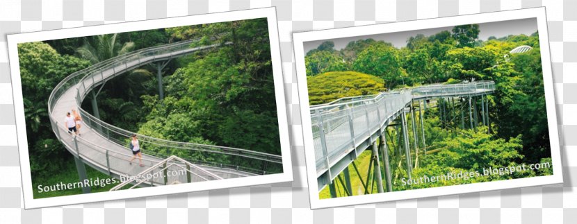 Southern Ridges Bus Recreation Tourist Attraction Fence Transparent PNG