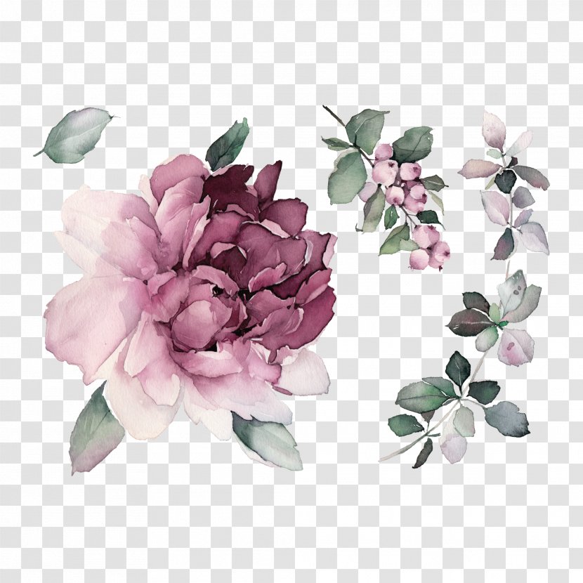 Abziehtattoo Cosmetics Cabbage Rose Peony - Paper - Chinese Transparent PNG