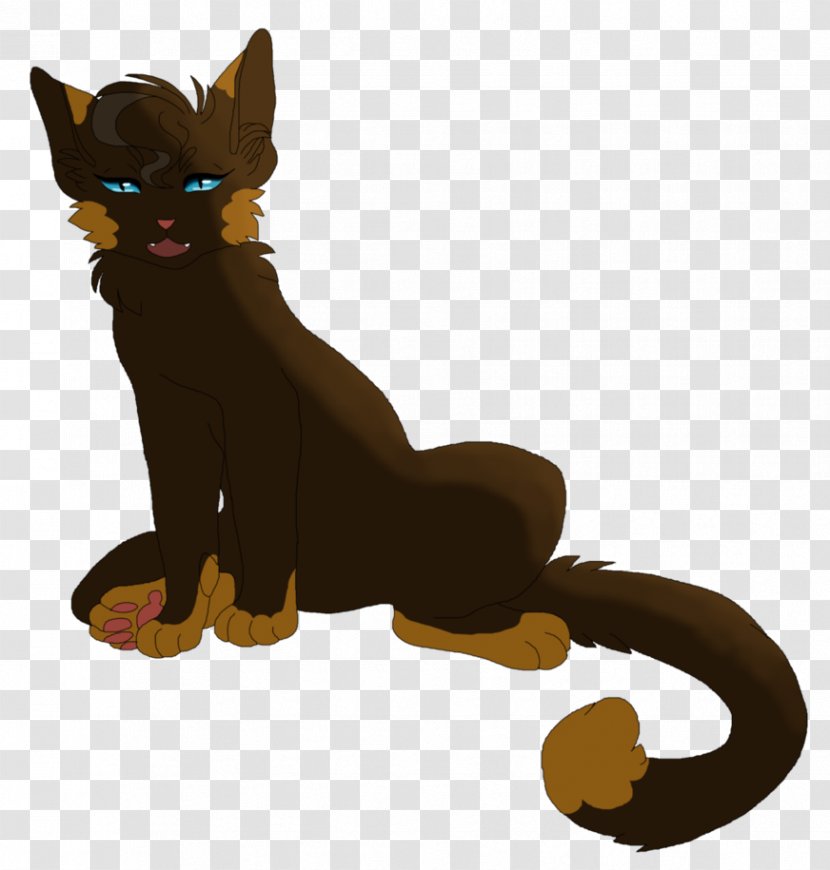 Whiskers Cat Red Fox Dog Breed - Carnivoran Transparent PNG