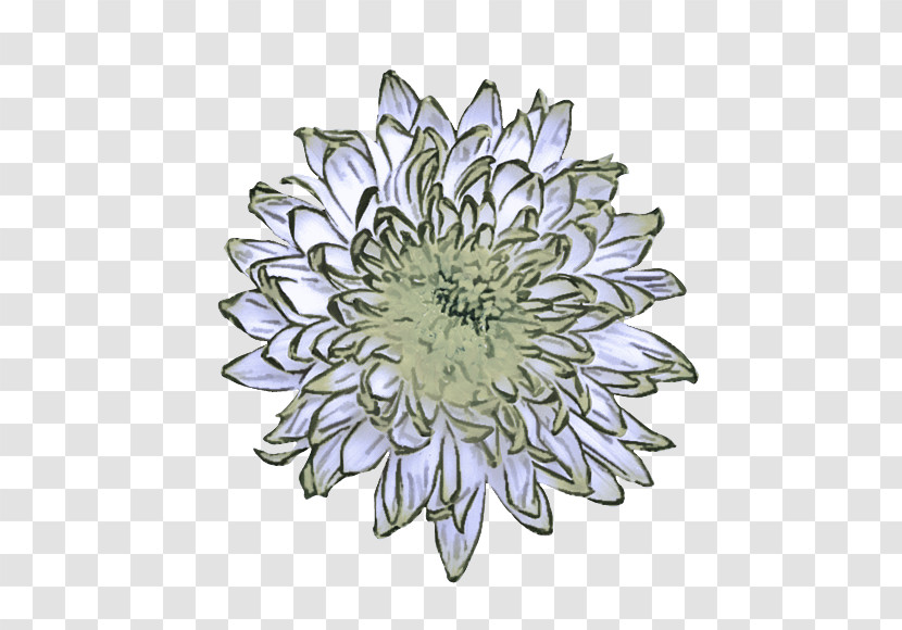 Flower Plant Petal Aster Pattern Transparent PNG