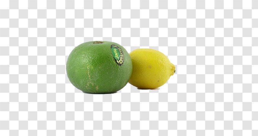 Persian Lime Lemon Key Citron - Oranges And Lemons Kind Shooting Transparent PNG