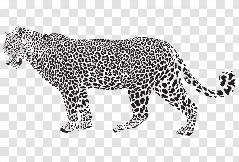Jaguar Leopard Cheetah Clip Art - Silhouette - Spotted Transparent PNG