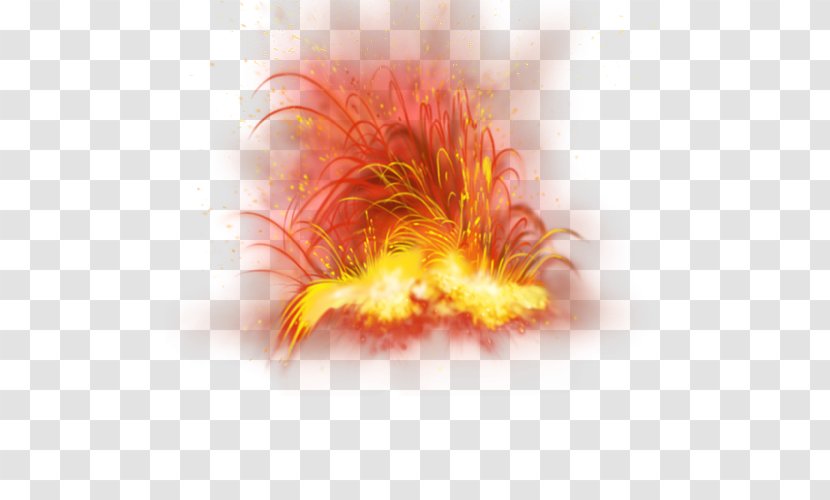 Fire Explosion Download Clip Art - Photography - Elemental Transparent PNG