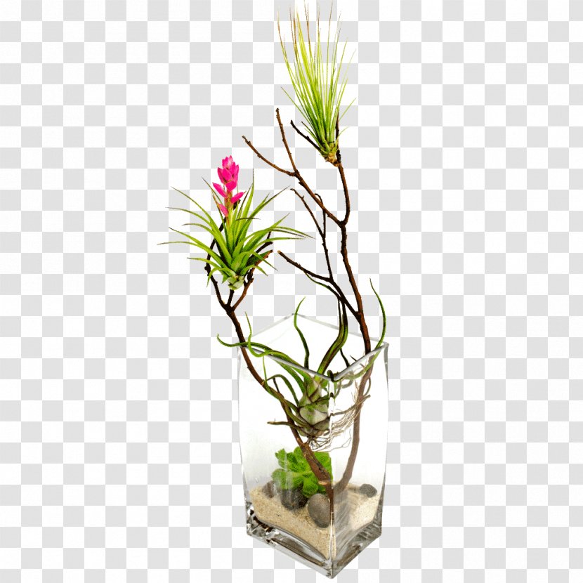 Floral Design Cut Flowers Houseplant Succulent Plant - Garden - Echeveria Transparent PNG