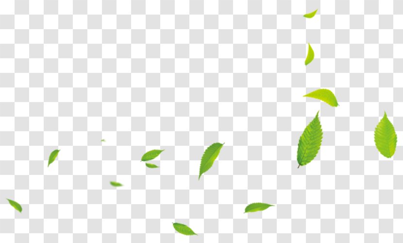 Leaf Green Download - Grass - Small Leaves Transparent PNG