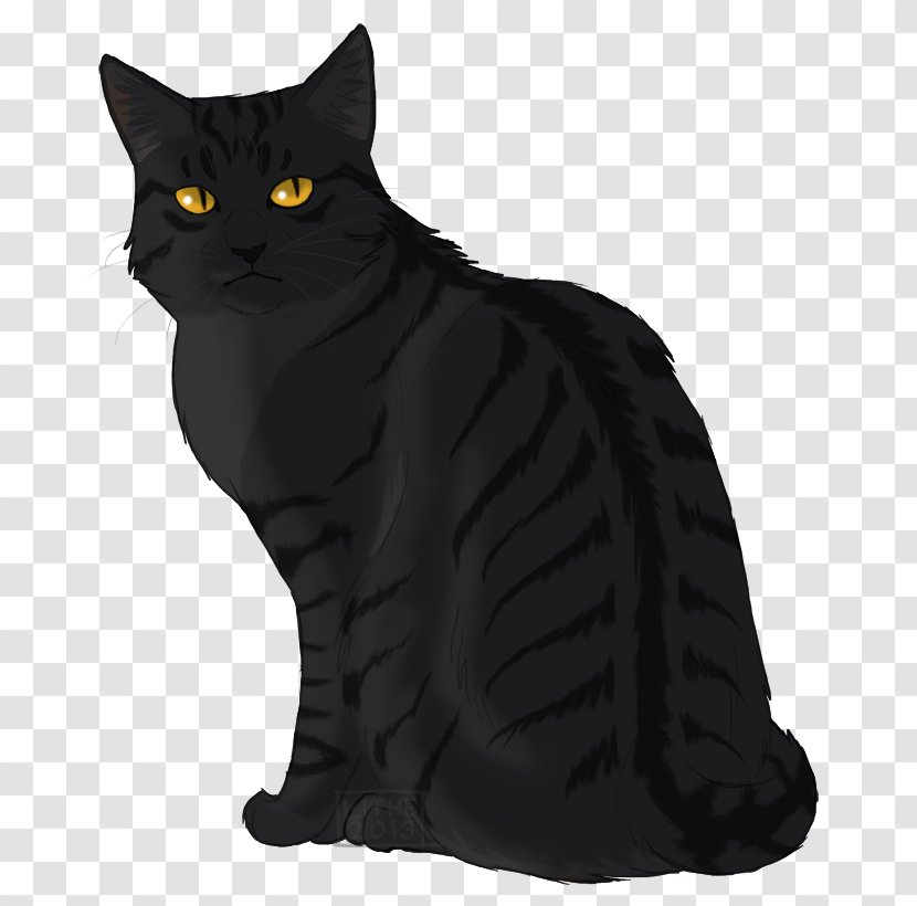 Cat Warriors Erin Hunter Crowfeather Darkstripe - Thunderclan Transparent PNG