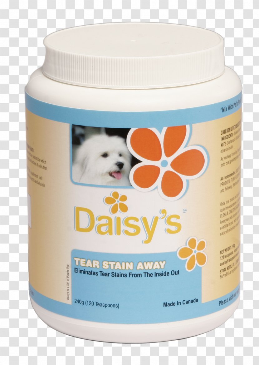 Dog–cat Relationship Stain Pet - Dog Transparent PNG