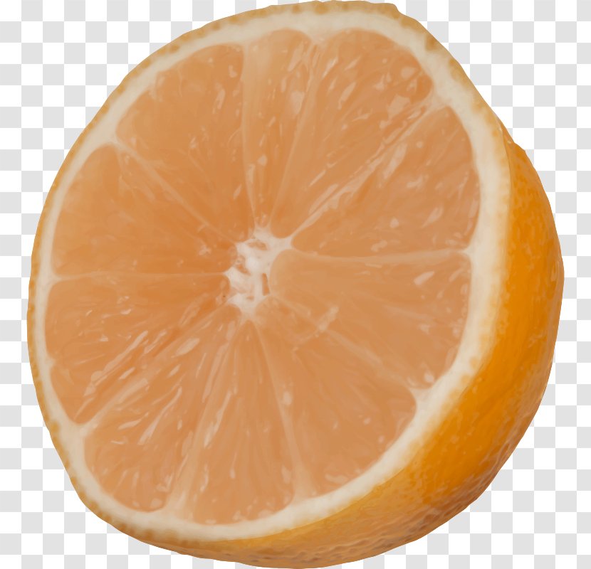 Grapefruit Mandarin Orange Tangelo Tangerine - Cut Fruit Transparent PNG