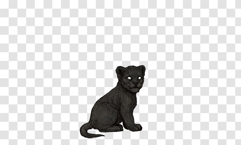 Whiskers Black Cat Fur Snout - Panther Transparent PNG