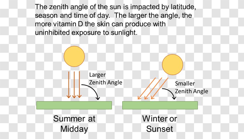 Vitamin D Sunlight Solar Zenith Angle - Brand - Sun Exposure Transparent PNG