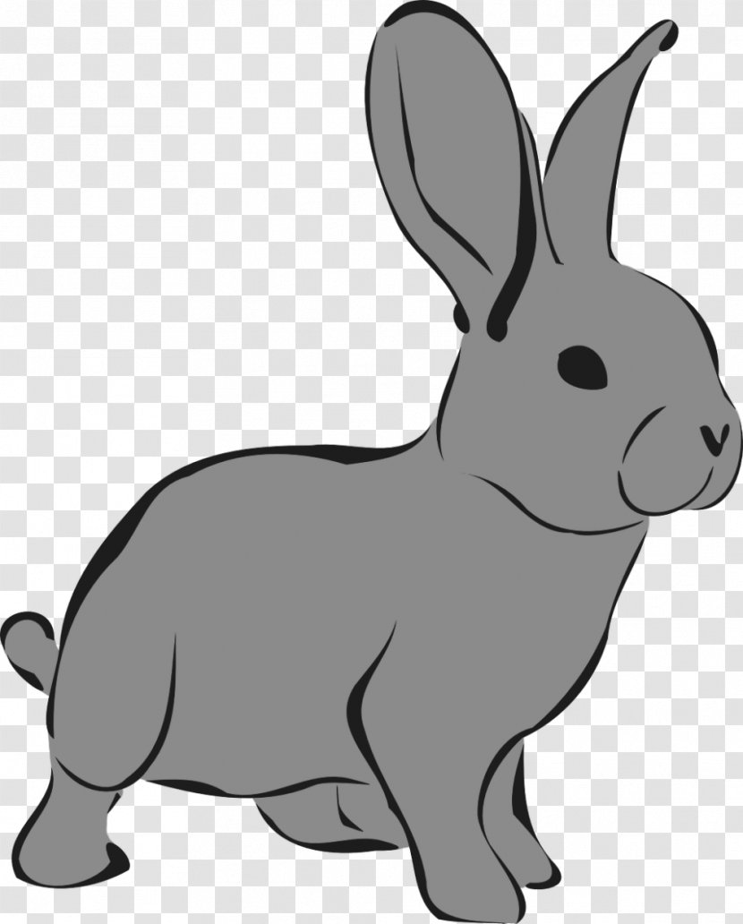 Clip Art European Rabbit Arctic Hare Image - Tail Transparent PNG