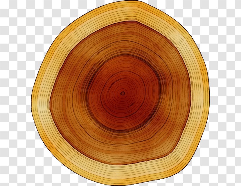 Watercolor Stain - Wood - Serving Tray Bowl Transparent PNG