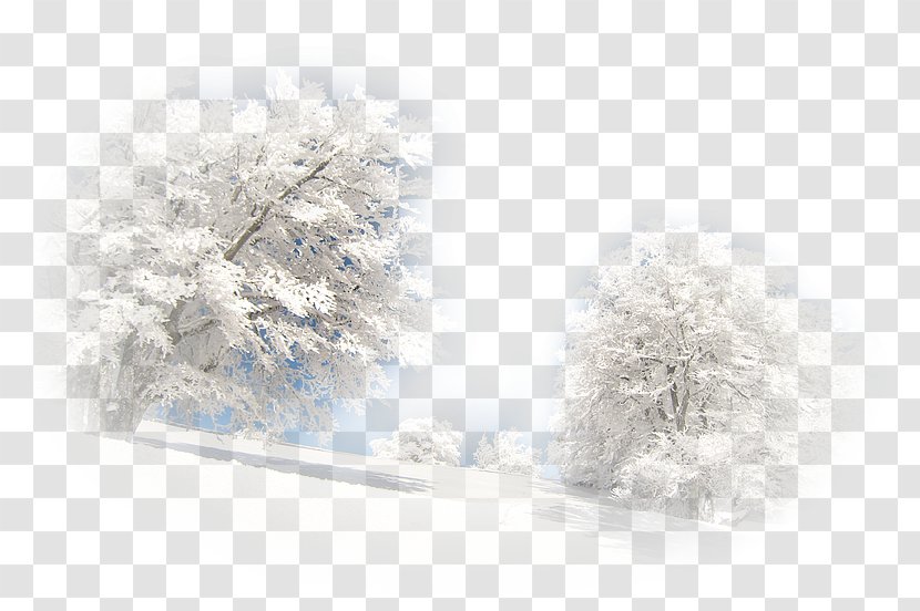 Landscape Winter Paysage D'hiver Desktop Wallpaper - Blog Transparent PNG