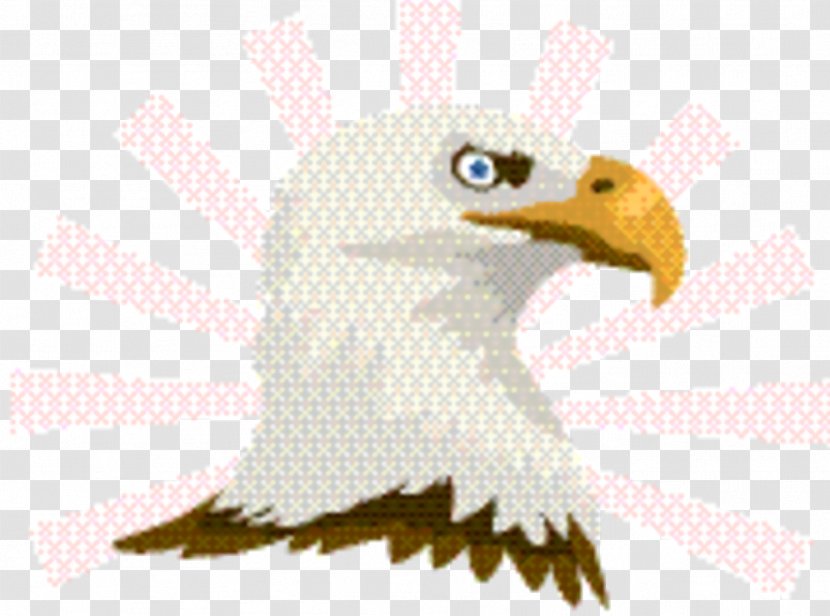 Eagle Logo - Bird Of Prey Transparent PNG