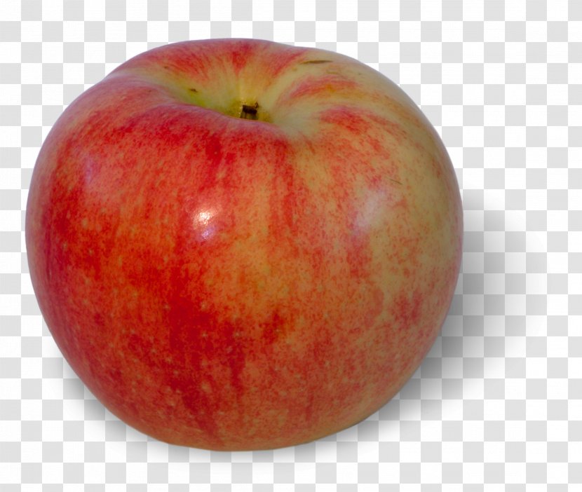 Apple Fruit IPhone 8 Food Peach - Mcintosh - GREEN APPLE Transparent PNG