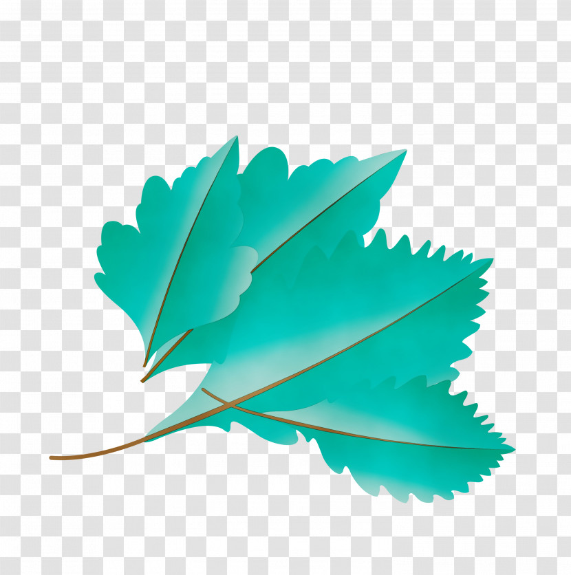 Leaf Green M-tree Turquoise Tree Transparent PNG