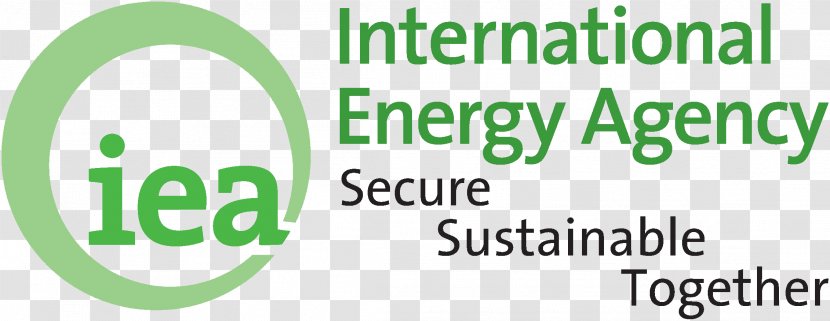 International Energy Agency World Outlook Consumption Organization - Grass Transparent PNG
