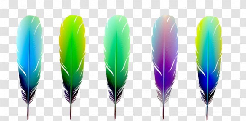 Feather Color Euclidean Vector Material - Effect Element Transparent PNG