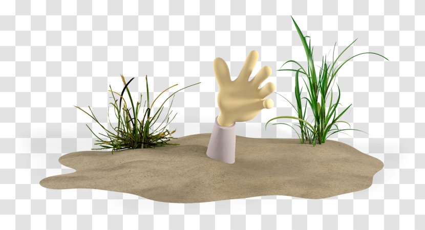 Grass Flower - Alternative Health Services - Rock Herb Transparent PNG
