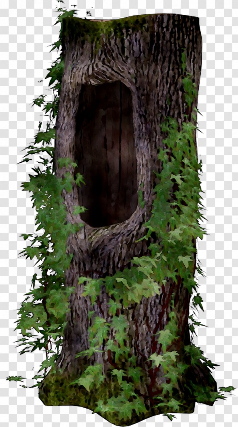 /m/083vt Camouflage M Wood Tree Stump - Grass Transparent PNG