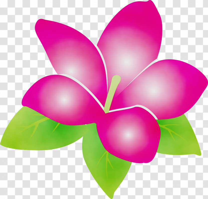 Leaf Cut Flowers Butterflies Petal Flora Transparent PNG